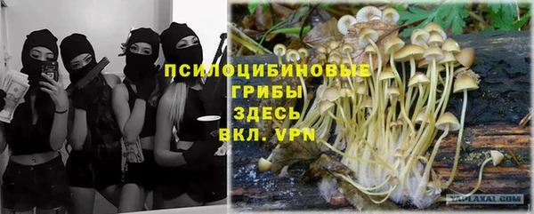 кристаллы Богданович