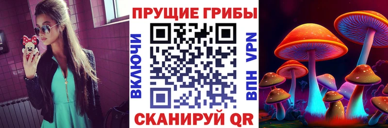 Псилоцибиновые грибы Psilocybine cubensis Городец