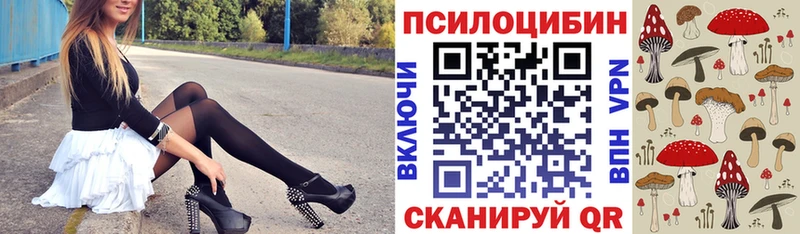 блэк спрут как зайти  Городец  Галлюциногенные грибы Psilocybine cubensis 