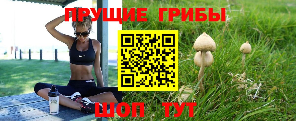 Городец  Галлюциногенные грибы ЛСД  Вход с VPN 