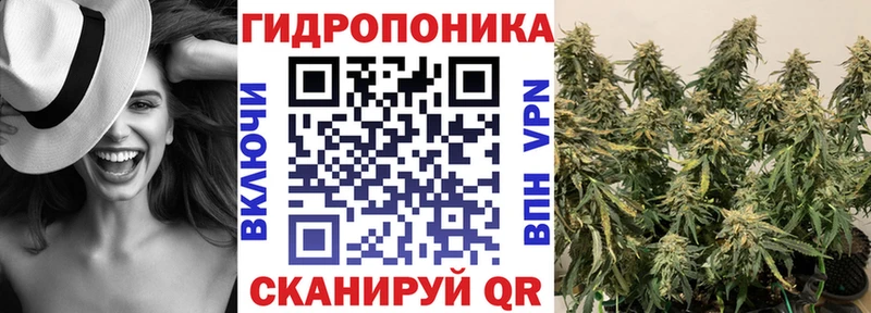 Конопля гибрид Городец